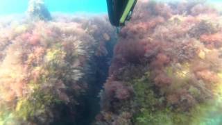 Ловля рапанов в Черном море