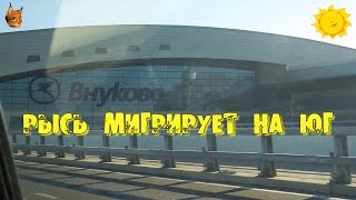 Путешествие на юг. День 1. Часть I. Trip to the South of Russia. Day 1. Part I.