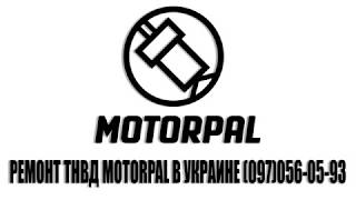 Ремонт топливных насосов ТНВД MOTORPAL (моторпал) в Украине
