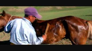 V.A - Mini Mongol Naadam [HD]