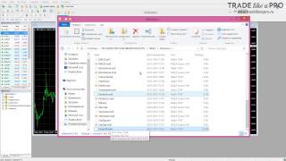 Как установить форекс индикатор в терминал Metatrader 4