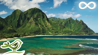 Fall Asleep Fast: Deep Sleep Music, Meditation Music, Relaxing Music, Sleeping Music ★134