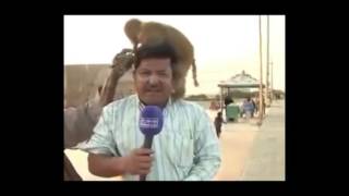 Funny  Pakistani Media Reporter Fail Compilation