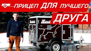 Прицеп для собак