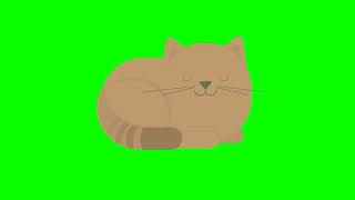Кот спит/sleep Cat: футаж на хромакее для видеомонтажа