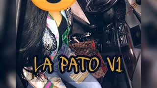 LA PATO V1 (ILLUMINATI MUSIC WS 2019)
