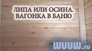 Баня своими руками. Липа или Осина. Чем обшивать парилку. Что выбрать и как отличить