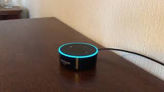 日本語Amazon Echo Dotを使ってみた