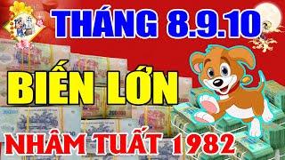 TUỔI NHÂM TUẤT 1982 VÀO 3 THÁNG TỚI SẼ RA SAO? MAY MẮN GIÀU CÓ HAY VẬN HẠN THẾ NÀO?
