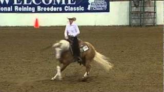 Petroll Reining Horses