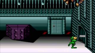 Battletoads and Double Dragon - Versions Comparison