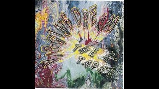 Virgin's Dream   The X Tapes Ger 1971 Krautrock rarity   only 300 pressed