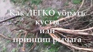 Зачем нужен рычаг, или как легко убрать кустарник с приусадебного участка