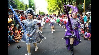 PAWAI KEMERDEKAAN & DRUMBAND SDN 01 KARTOHARJO (SD GUNTUR) MADIUN 2017