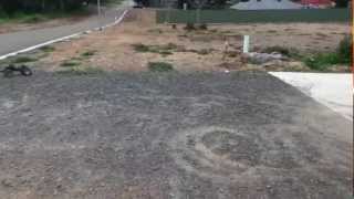 R/C traxxas t-maxx donuts