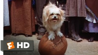 Lassie Come Home (7/10) Movie CLIP - The Tootsie & Lassie Show (1943) HD
