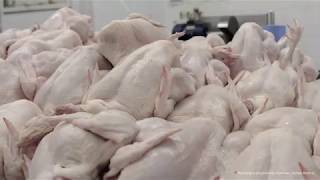 Produk ternakan di Econsave adalah halal untuk pelanggan