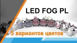 Видео обзор LED FOG PL (LEDFOG103) от OSRAM!