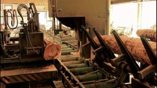 La industria forestal y el desarrollo sostenible