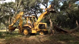 Caterpillar 416 knocking over oak tree trunk