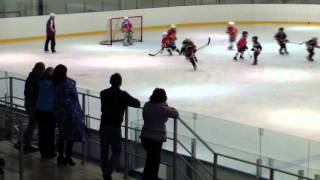 Красная Звезда г.Краснокамск - Молот г.Пермь. 2008-2009г.р. 14.04.2016г. СК Ледовый г.Краснокамск