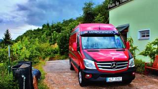 Mercedes-Benz Sprinter 316 Listar Transport