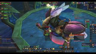 Хиллим в Азжол-Неруб WoW 3.3.5a