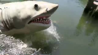 [UNIVERSAL] Requin ou Crash d'Avion ? Petit Tour des Studios Universal - Studio Bubble Tea VLOG