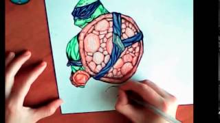 Как рисовать черепашек ниндзя (Донателло)/How to draw ninja turtles (Donatello)