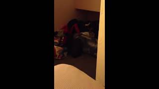 Footage Of Lil Wayne's Seizure In Los Angeles