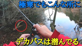 真冬でもやっぱりシャローゲームが熱い！？