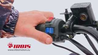 Обновленный Irbis Dingo T150 2016г