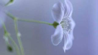 Antonio Vivaldi: Concerto for oboe, strings & b.c. in D major (RV 453)