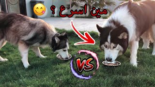 تحدي الاكل ? اللي يفوز يسافر معاي البحرين ??