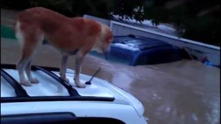 Против водной стихии не попреш!2