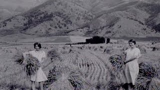 "Sun River Homestead" (2001)