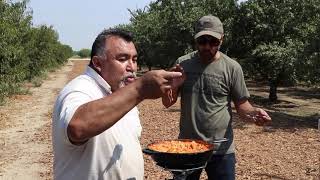 Hot dog lasagna