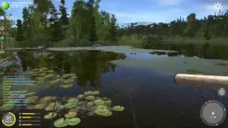Russian Fishing 4 FR : reparti pour le farm flotteur 85%