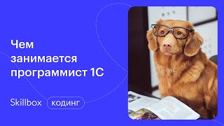 Создание баз данных в 1С. Интенсив по программированию