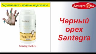 Black Walnut Черный орех Santegra Сантегра