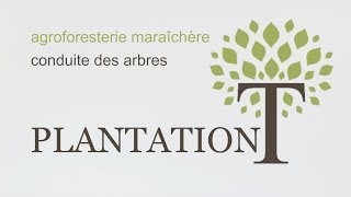 CONDUITE DES ARBRES - Plantation