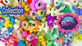 LPS Collection Tour Haul Video Littlest Pet Shop Bunny Rabbits Bugs Birds Cookieswirlc Part 2
