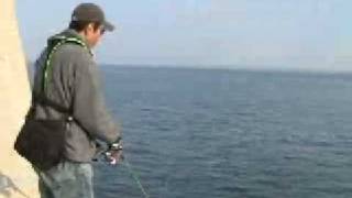 「男鹿半島 真冬のヤリイカエギング」釣り東北動画セレクション
