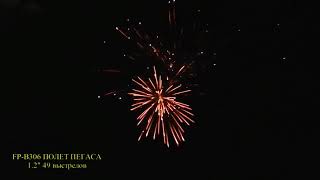 Салют Полет Пегаса (FP-B306) Firedragon.by