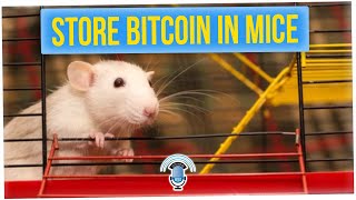 The Quest to Put Bitcoin Private Keys into Mouse DNA