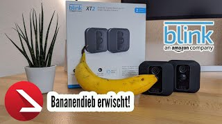 Sicheres Gemüt zu Weihnachten | Der Bananen Dieb