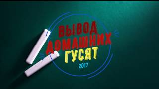 Вывод гусят домашним инкубатором.