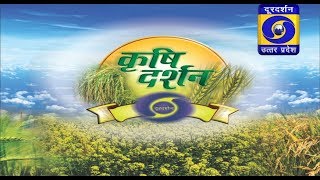 Mango Plantation: Krishi Darshan 05:30pm  09 April 2019