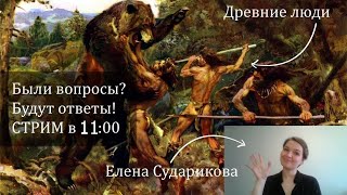 Стрим с Еленой Судариковой: обсуждаем книги