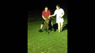 Mary, John, Ashlynne riding a pony